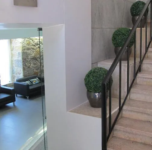 V Dinastia Πανσιόν